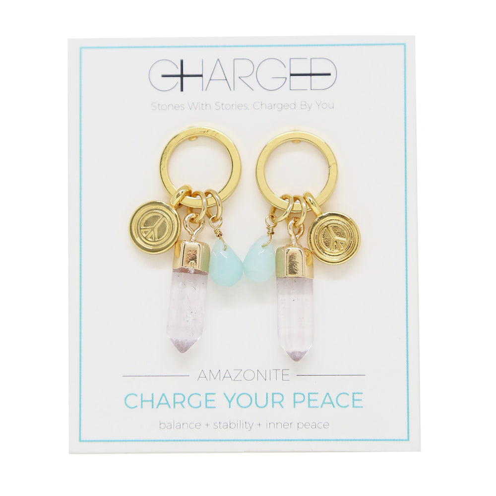 Amazonite & Gold Charm Earrings on packaging