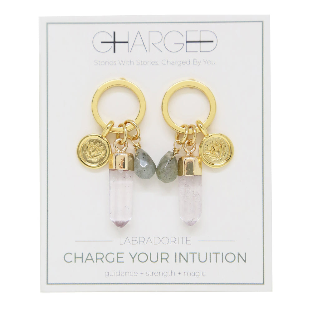 Labradorite & Gold Charm Earrings on packaging