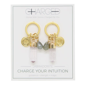 Labradorite & Gold Charm Earrings on packaging