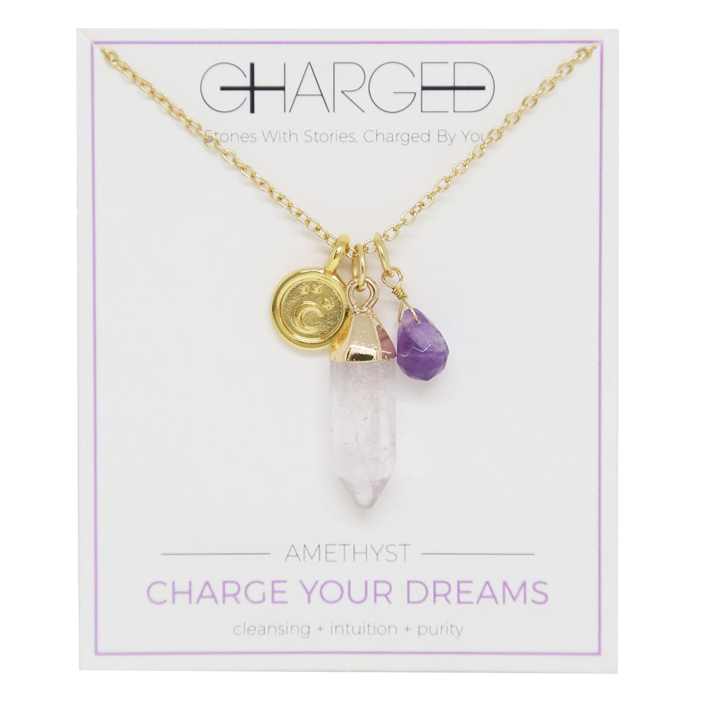 Amethyst & Gold Charm Necklace on packaging