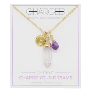 Amethyst & Gold Charm Necklace on packaging