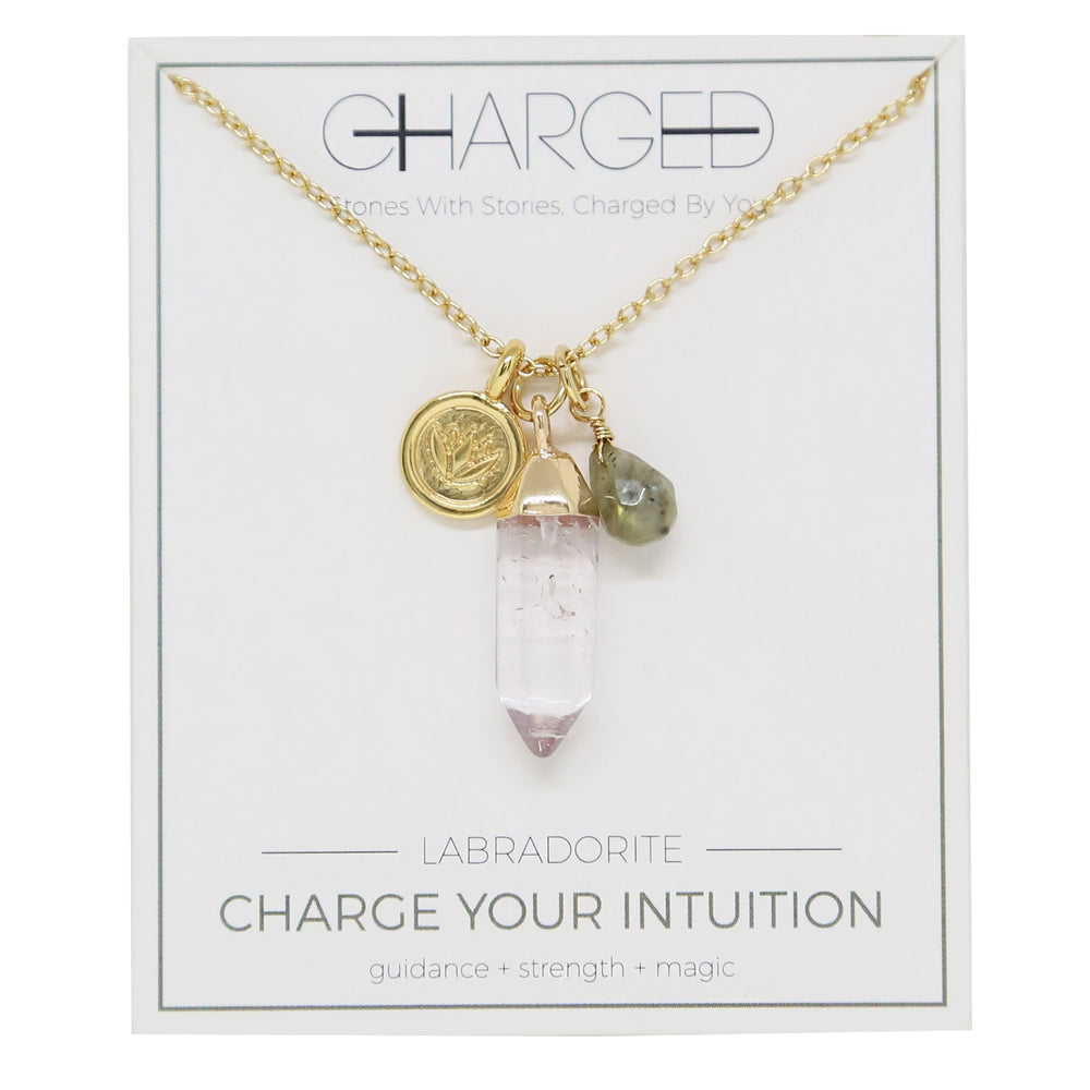Labradorite & Gold Charm Necklace on packaging