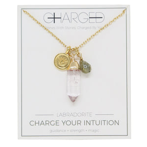 Labradorite & Gold Charm Necklace on packaging