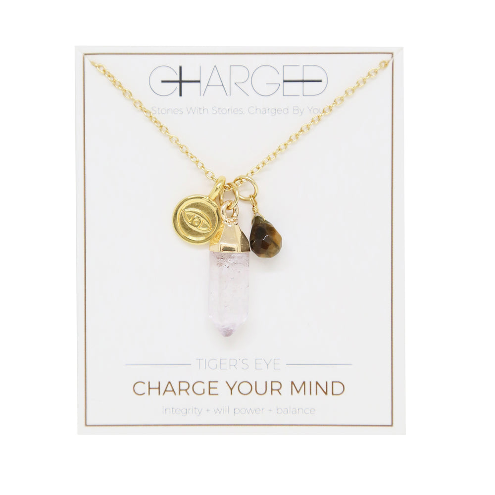Tiger's Eye & Gold Charm Necklace on packaging