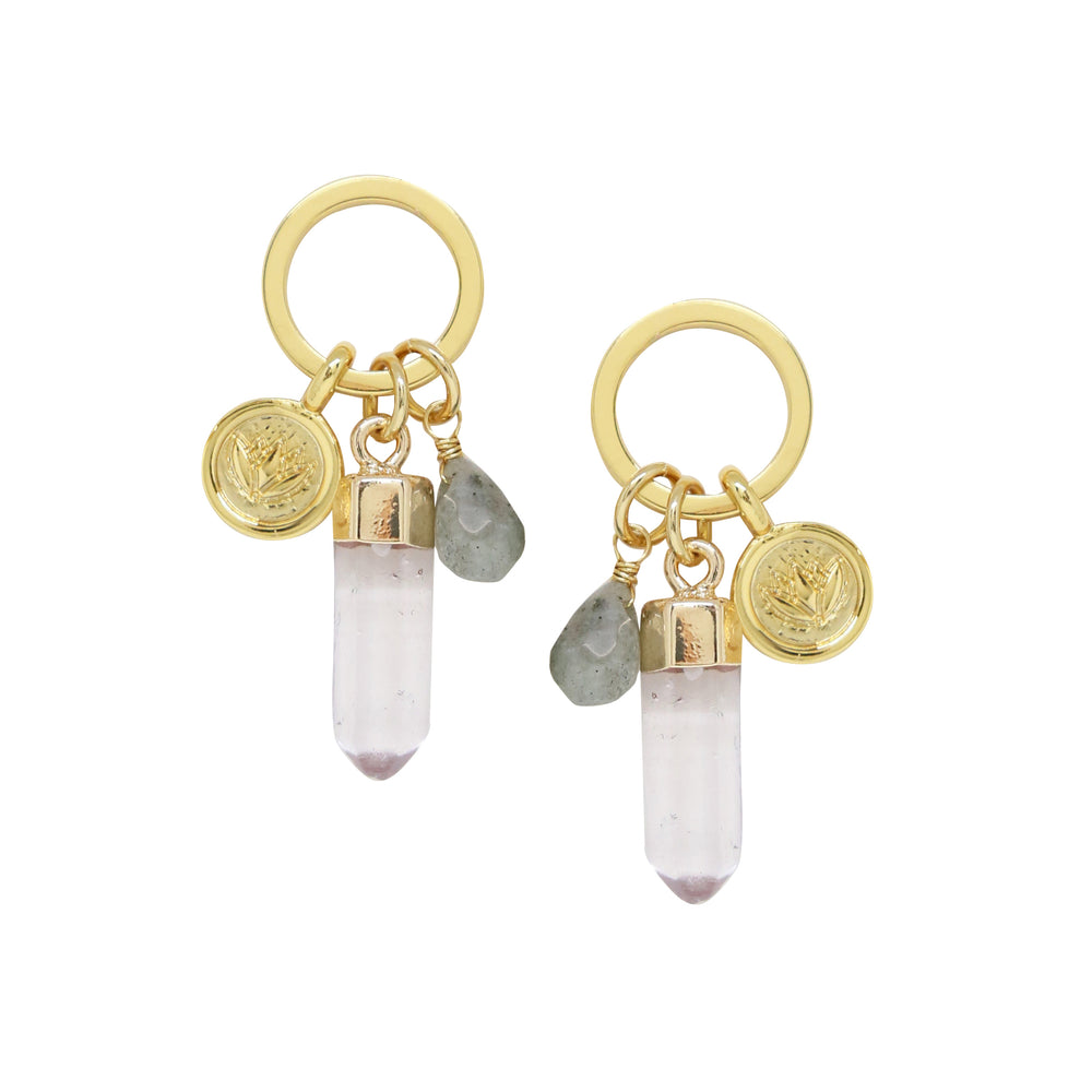 Labradorite & Gold Charm Earrings