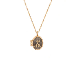 Charged Labradorite Locket Necklace on white closed