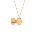 Charged Rose Quartz Locket Necklace on white far